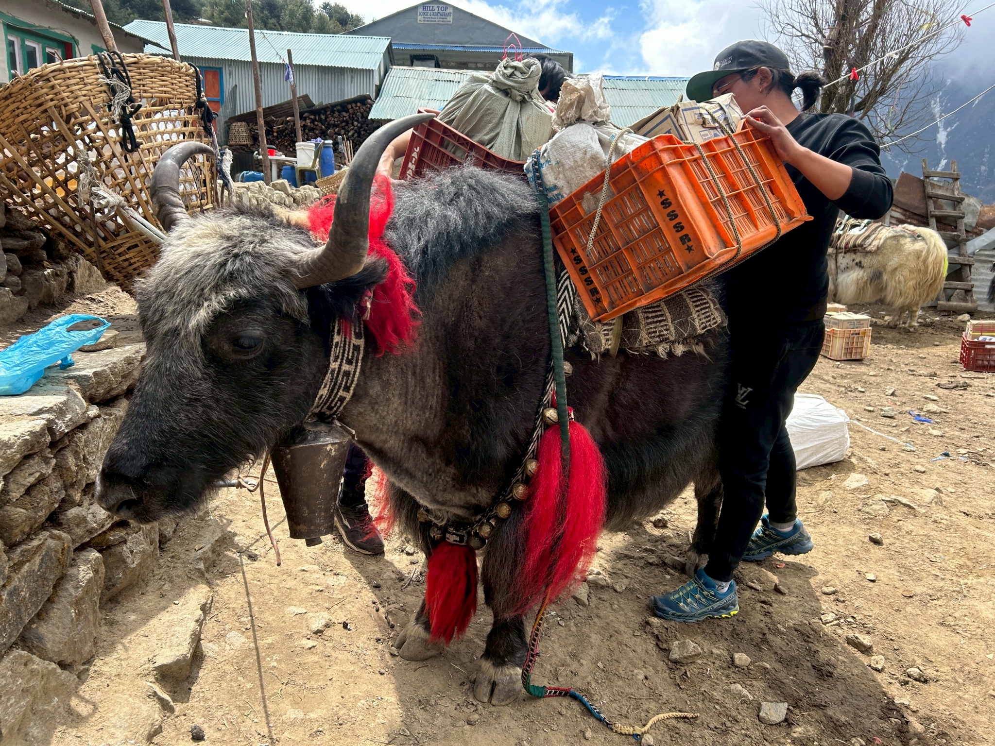 チャレンジイメージ